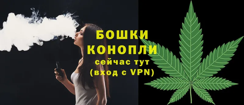 Бошки марихуана Ganja  сайты даркнета официальный сайт  Гатчина 